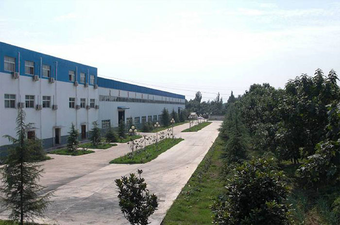 company 2.jpg